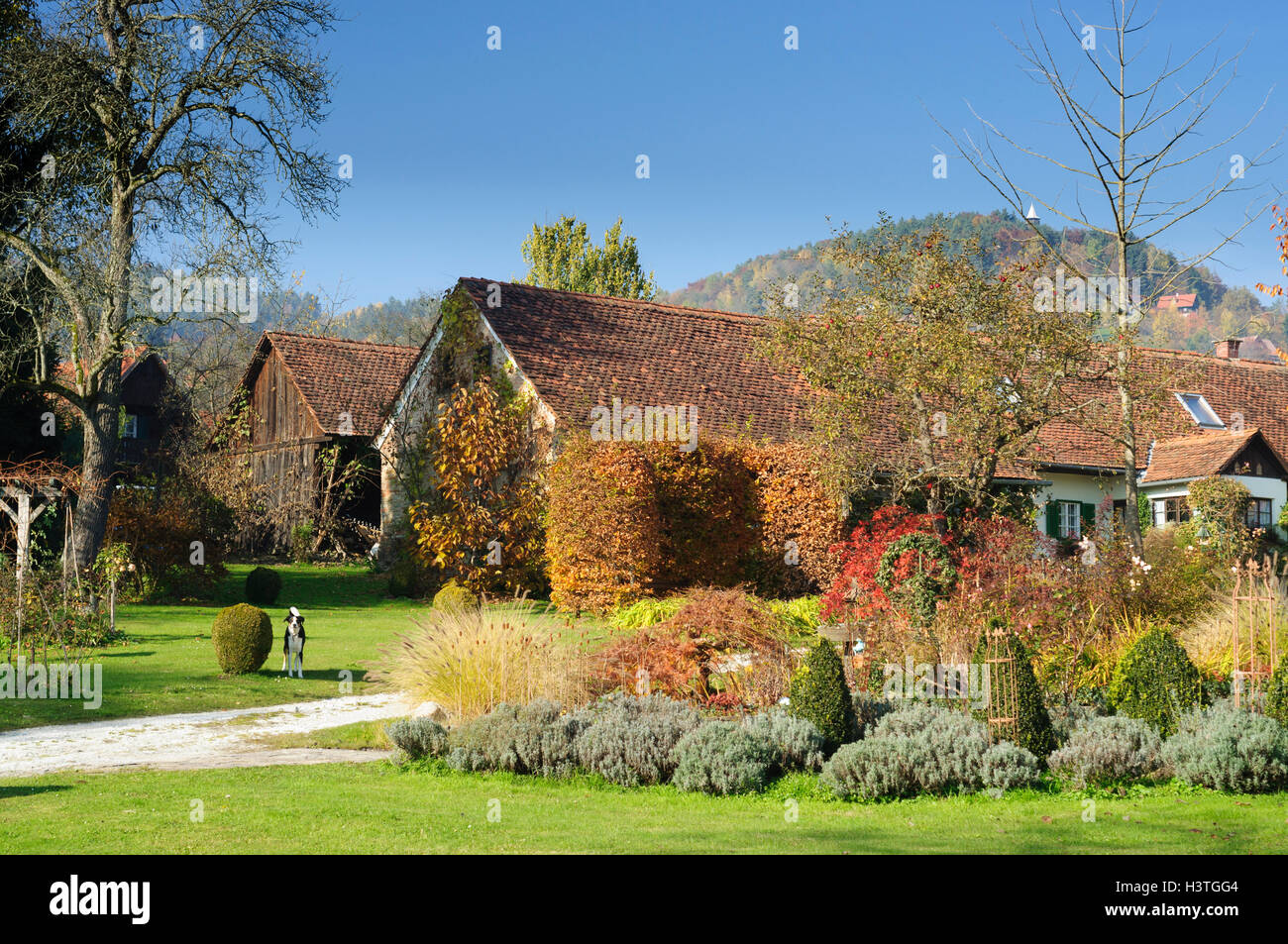 Bad Gams (Schilcherland): House in Vochera am Weinberg, Südwest-Steiermark, Steiermark, Styria, Austria Stock Photo