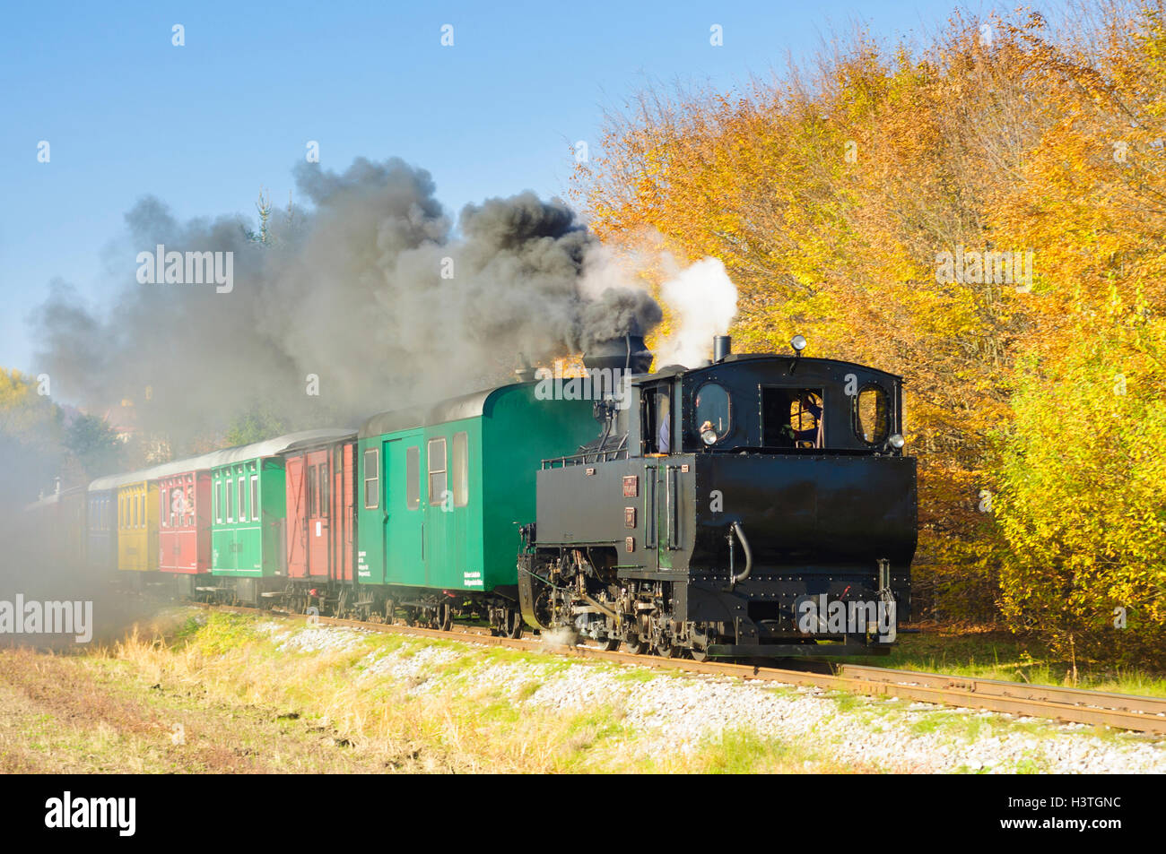 Stain Train Stainz (Schilcherland): museum Railway