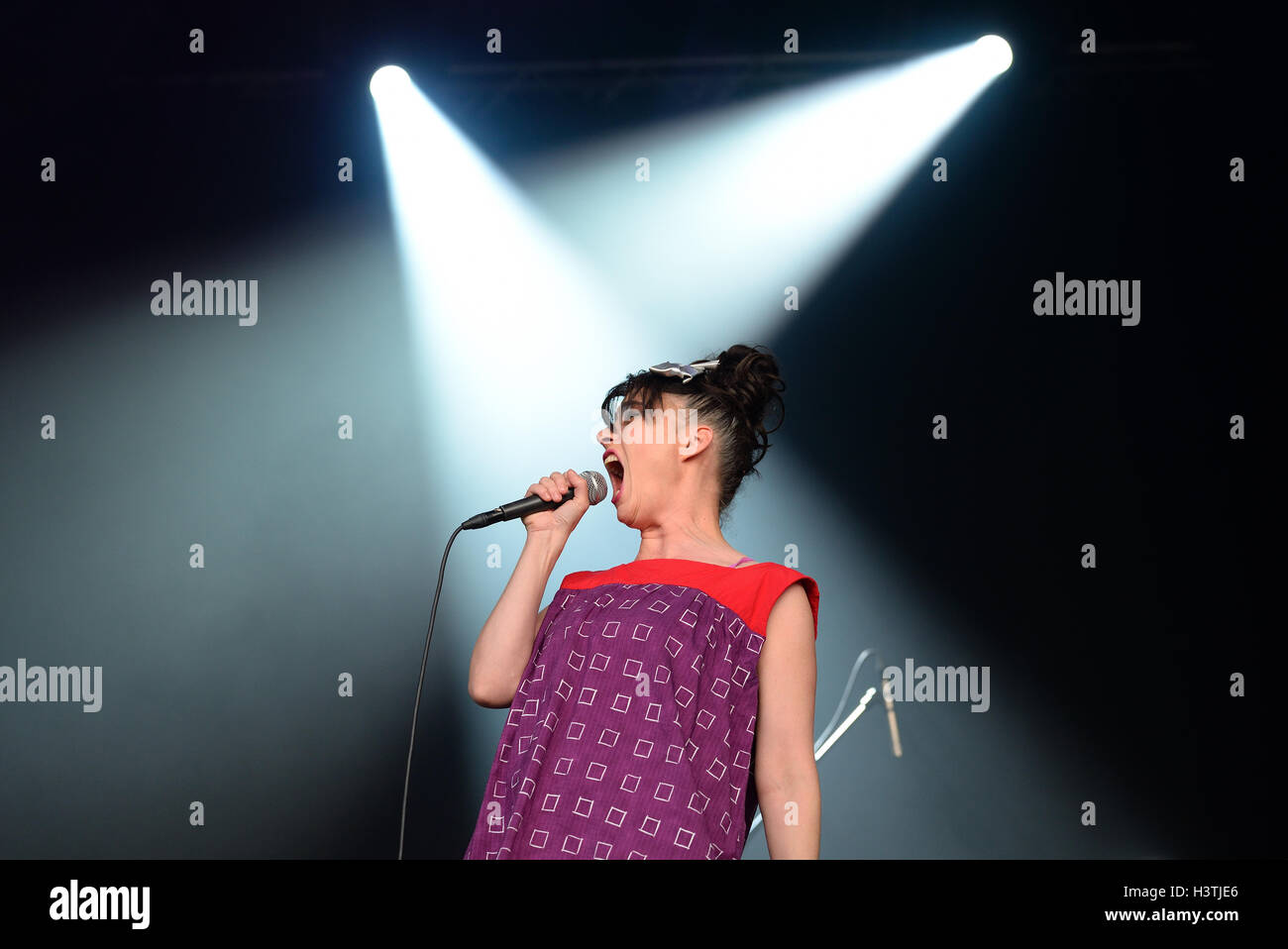 BARCELONA - MAY 29: The Julie Ruin (band) performs at Primavera Sound 2015 Festival, Ray-Ban stage. Stock Photo