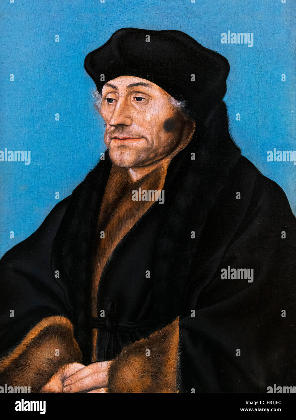 Erasmus. Portrait of Desiderius Erasmus Roterodamus (1466-1536), by Lucas Cranach the Elder, 1530-36 Stock Photo