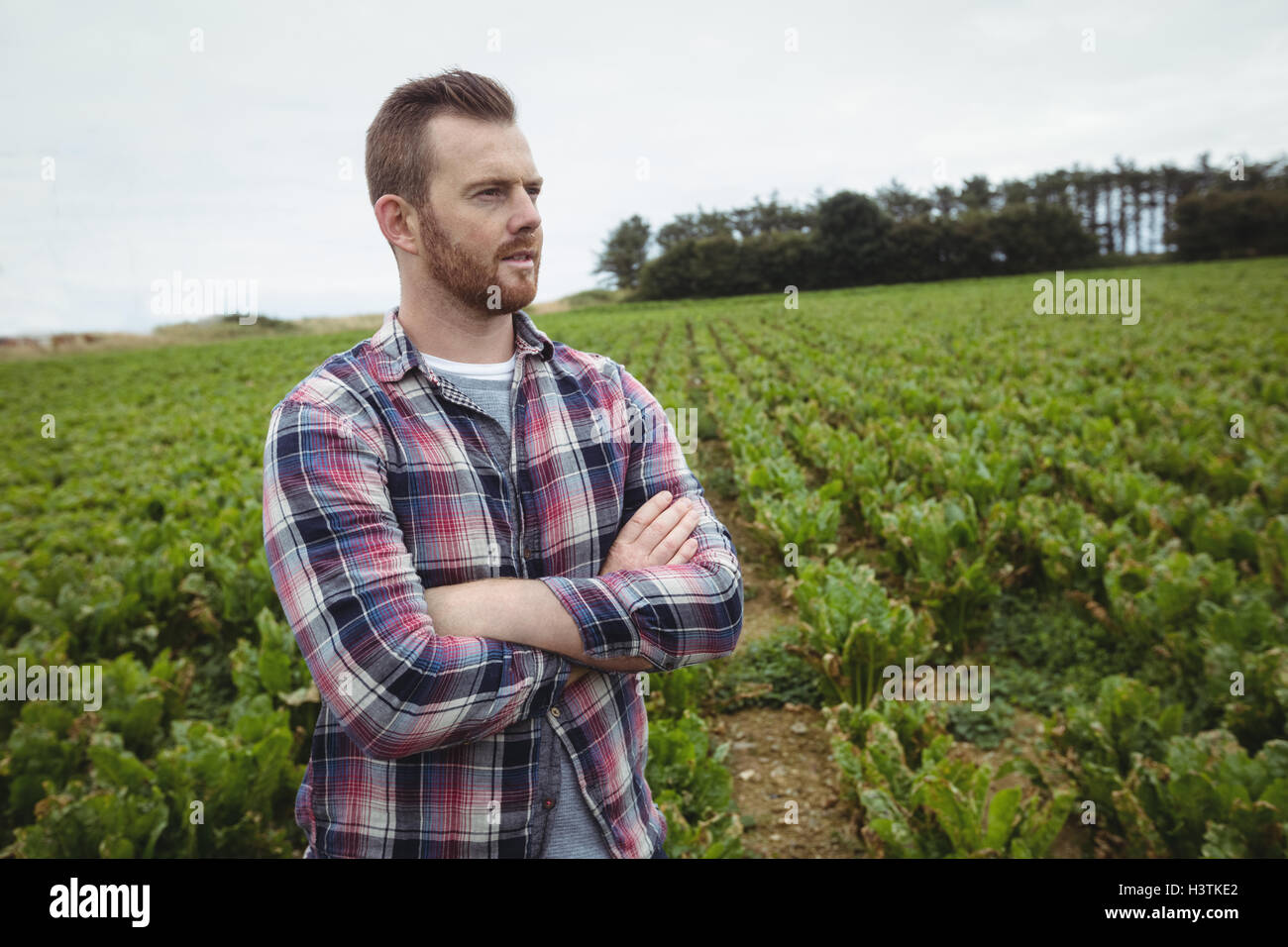 Farmer standing with arms crossed in the field Stock Photo - Alamy