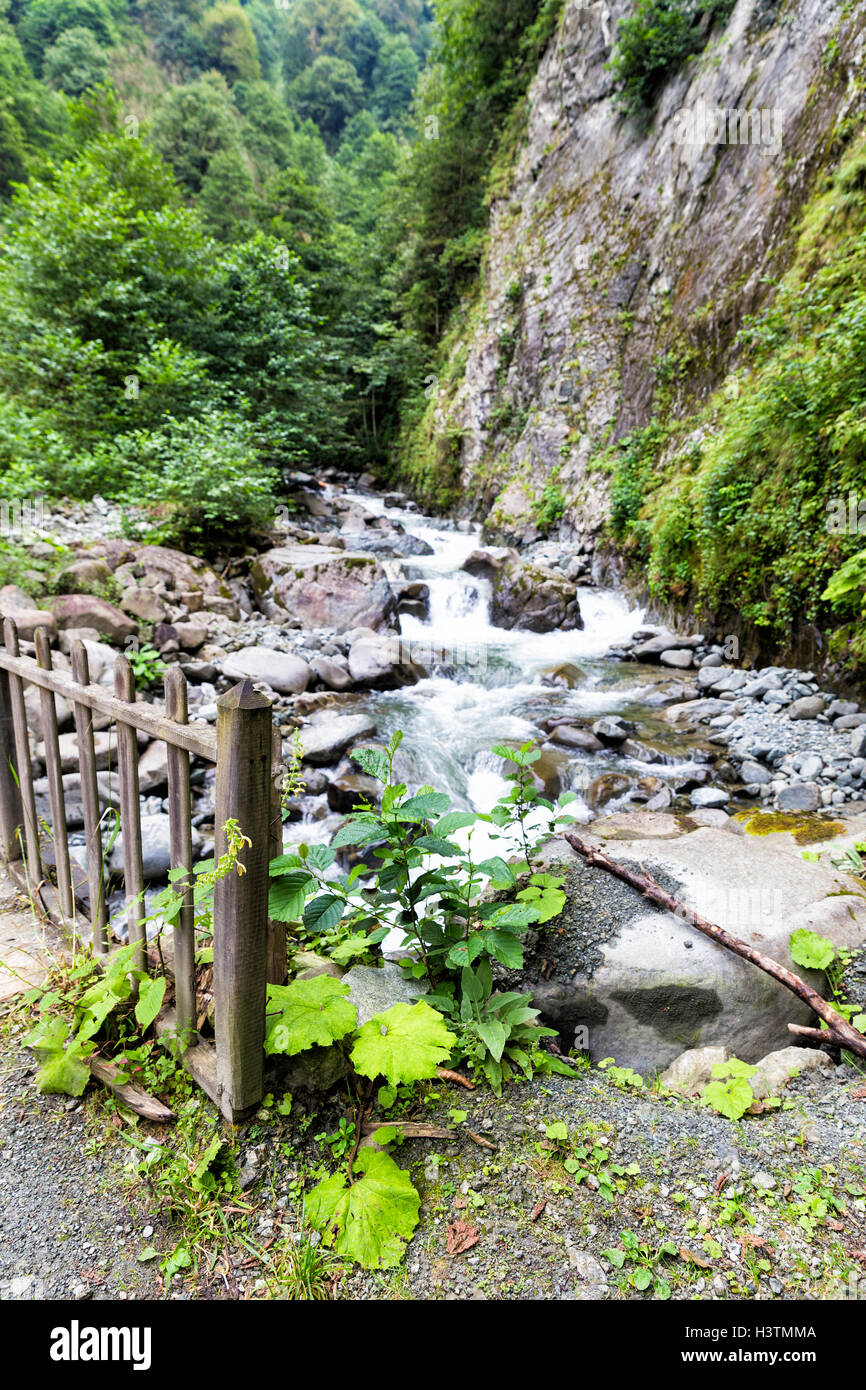 Wooden bridge and plants on the Tar river waterfall near Camlihemsin, Rize, Turkey Stock Photo