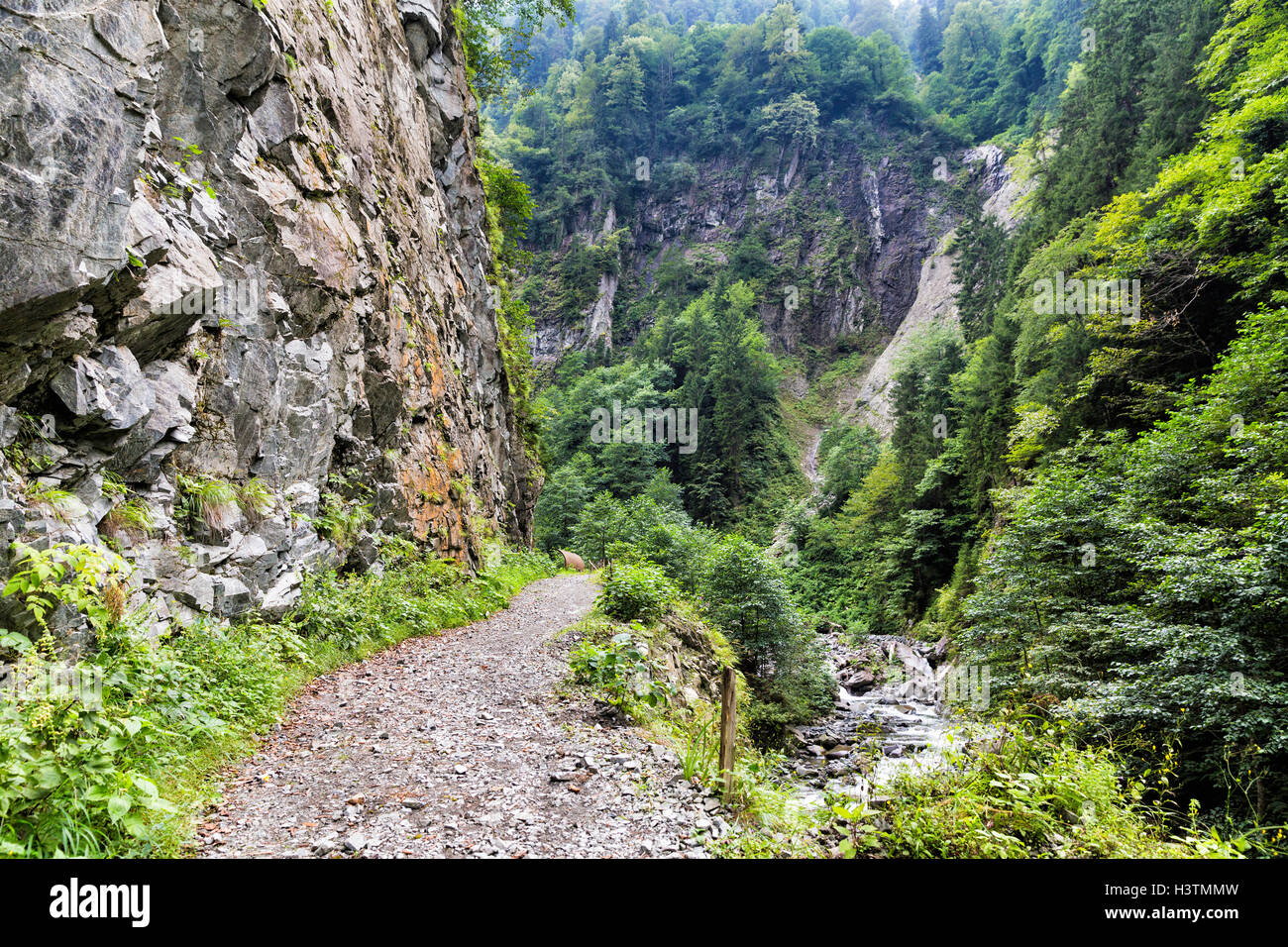 Riverside path near Tar river waterfall, Camlihemsin, Rize, Turkey Stock Photo