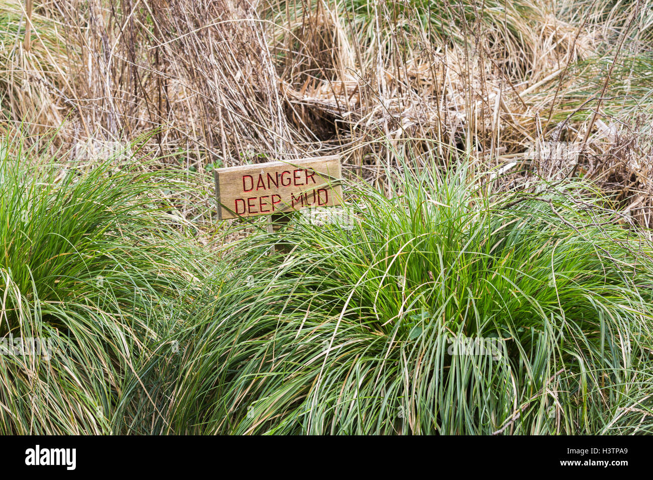 Rectangular wooden sign with red writing in marshy ground, Danger Deep Mud Stock Photo