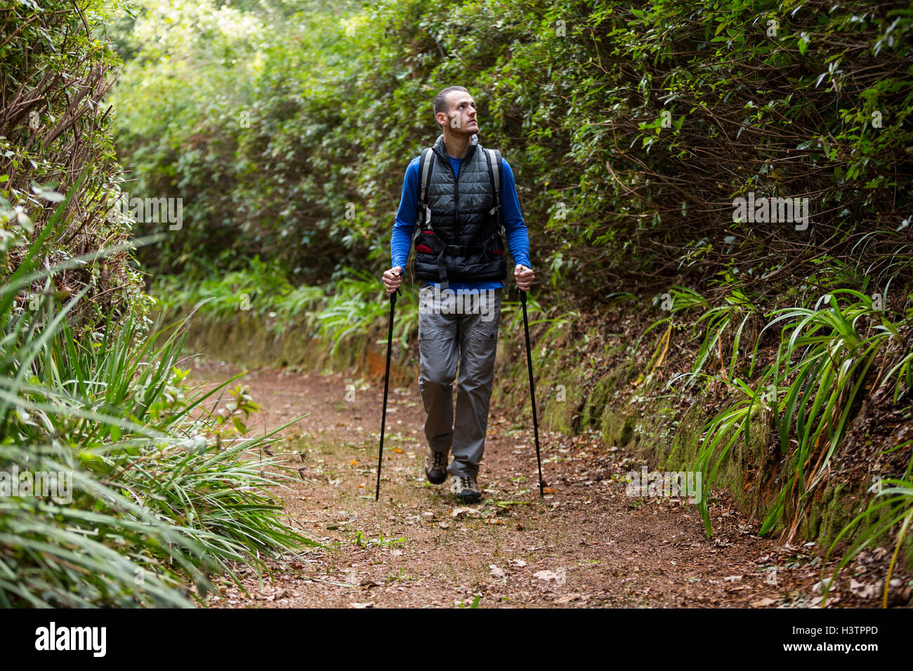 Male hiker walking with hiking pole Stock Photo