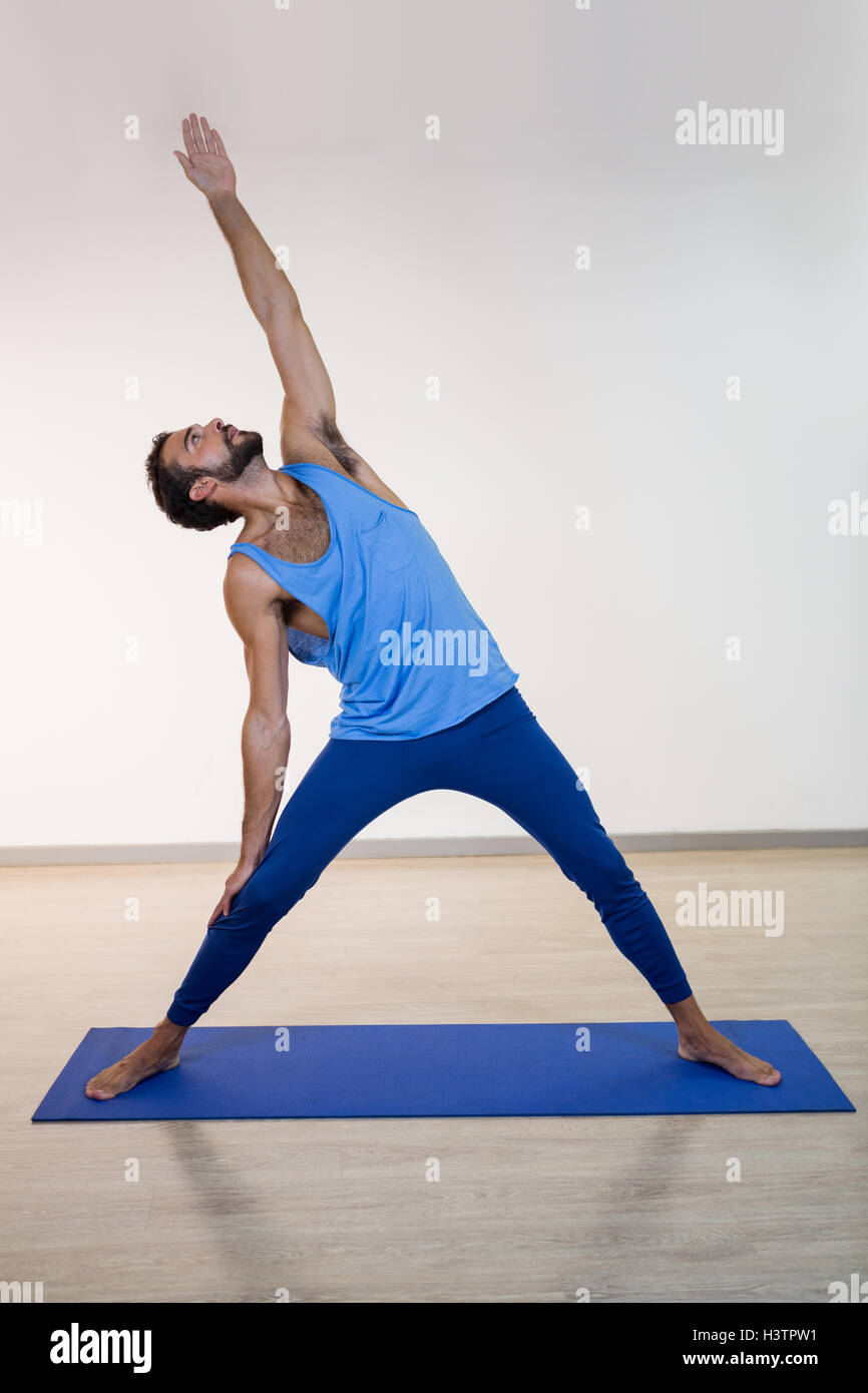 Triangle Pose Photography Triangle Pose Photography