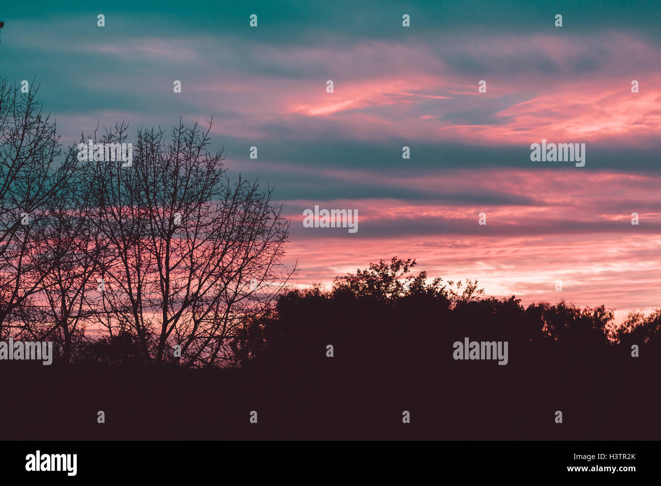 Sunset over the forest Stock Photo - Alamy