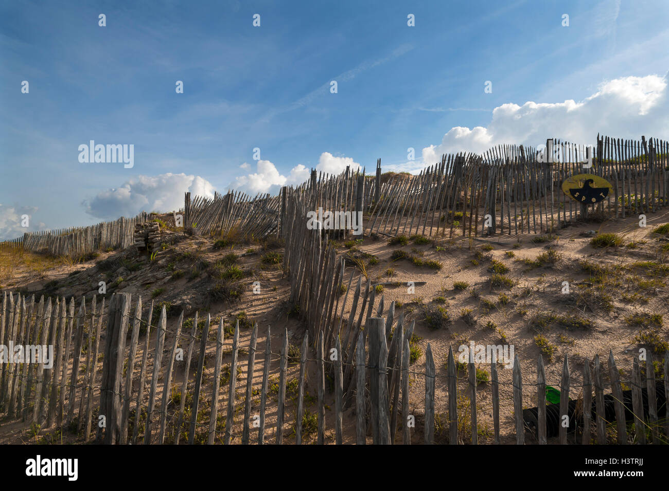 Fences for dune protection, Atlantic coast, La Tranche sur Mer, Vandee, France Stock Photo