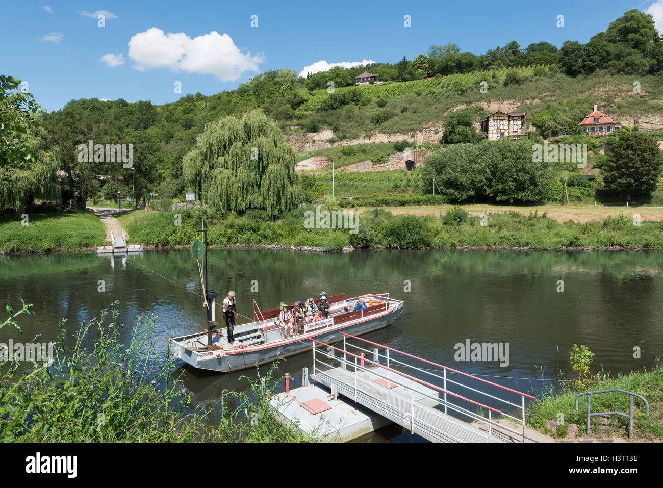 Traditional reaction ferry on the river Saale, rope drawn by the ferryman, vineyards behind, Naumburg, Saxony-Anhalt, Germany Stock Photo