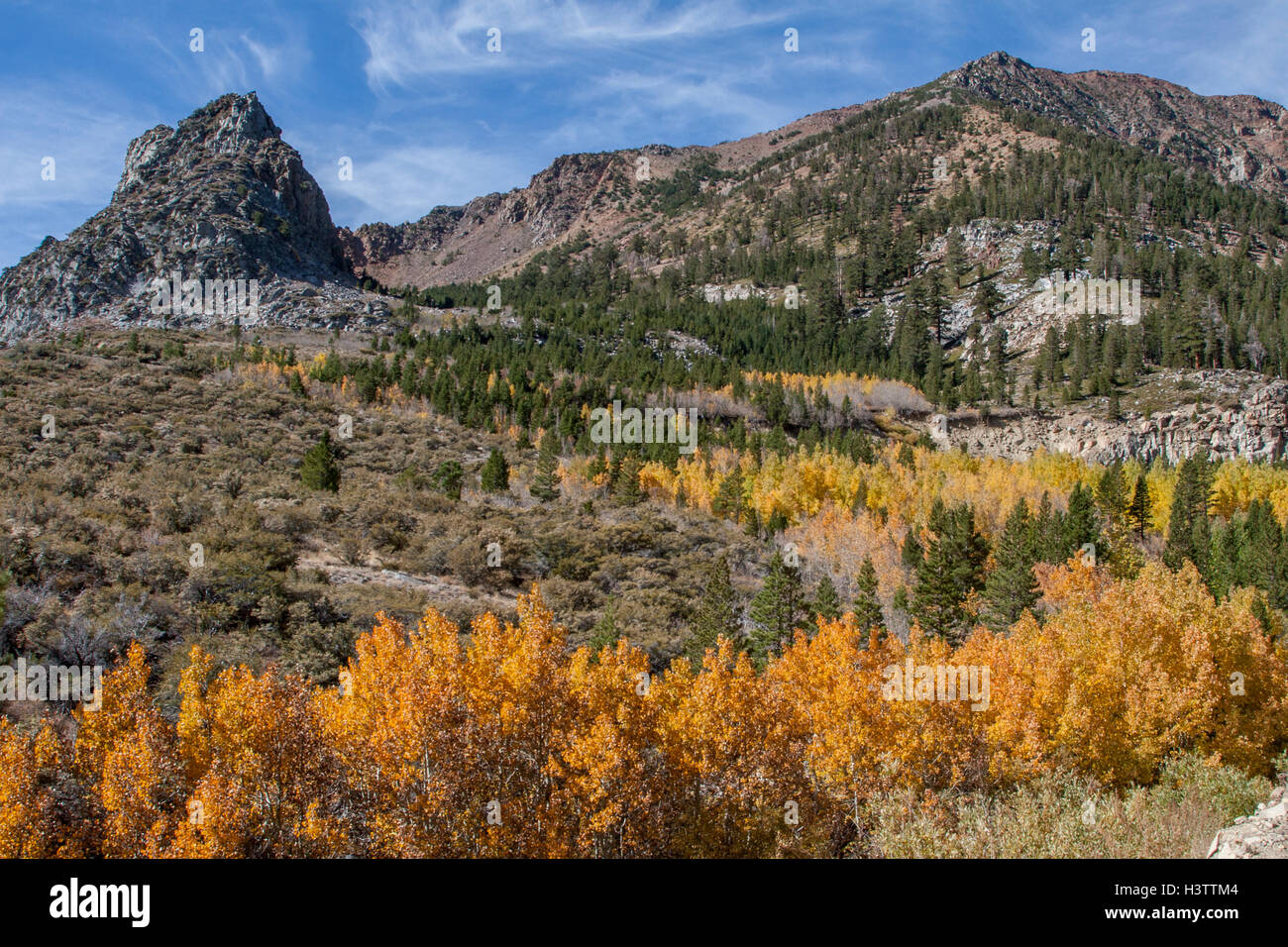 Fall colors on the east side of The Sierras, going up Tioga Pass near Lee Vining and Mono Lake in California. Stock Photo