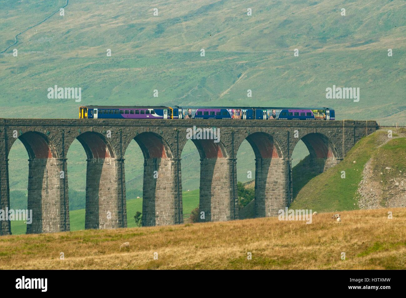Train on Ribblehead Viaduct, Yorkshire, England Stock Photo