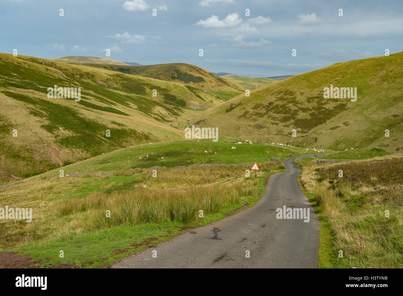 Upper Coquetdale, Cheviot Hills, Northumberland, England Stock Photo