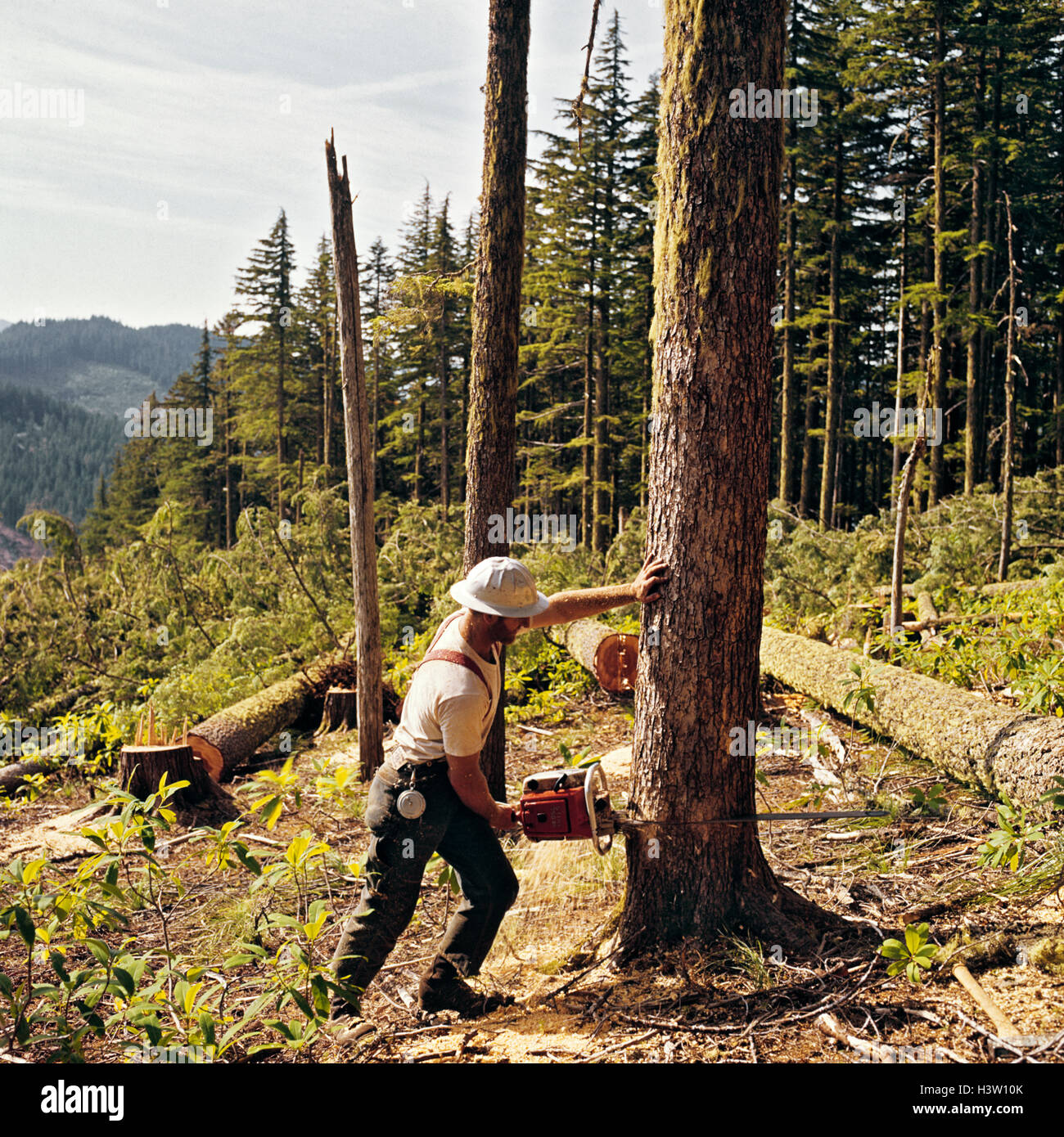 Ki2796 hires stock photography and images Alamy