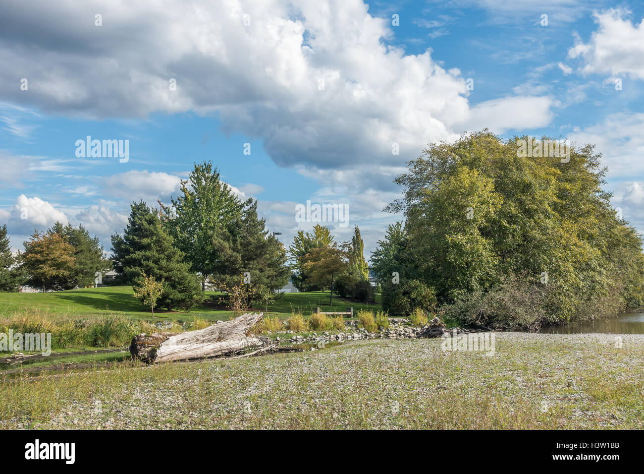 A view of a section the Cedar River Trail Park in Renton, Washington
