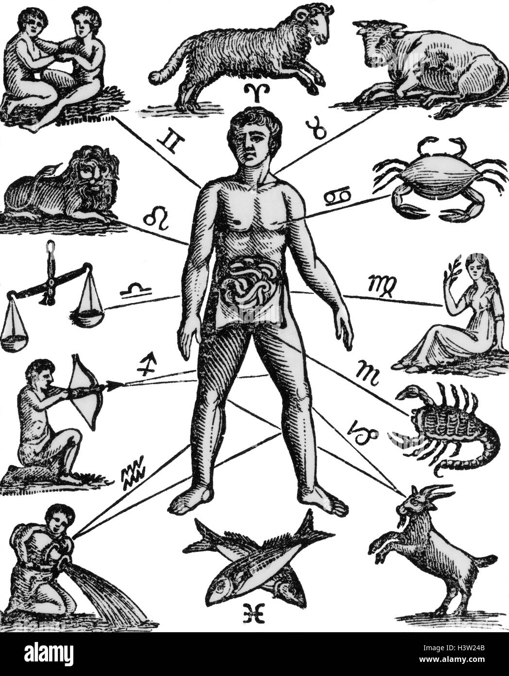 ZODIAC MAN DRAWING RELATING ASTROLOGY MOON SIGNS TO VARIOUS PARTS OF MALE ANATOMY USED IN ANCIENT MEDICINE Stock Photo