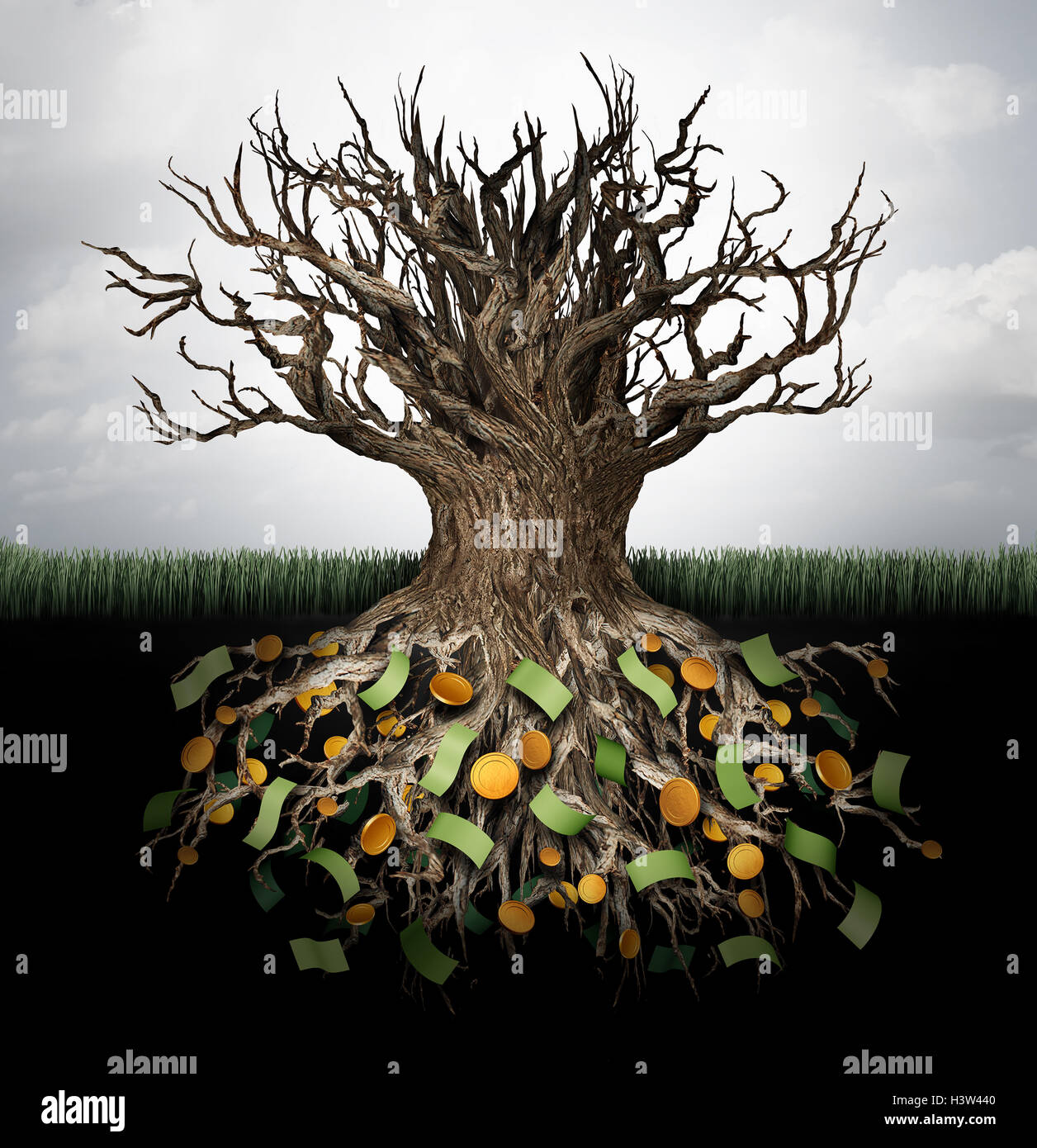 Hiding money and secret wealth business concept as an empty tree with currency and gold hiden in the underground roots as a financial metaphor to protect capital or avoid income tax with 3D illustration elements. Stock Photo