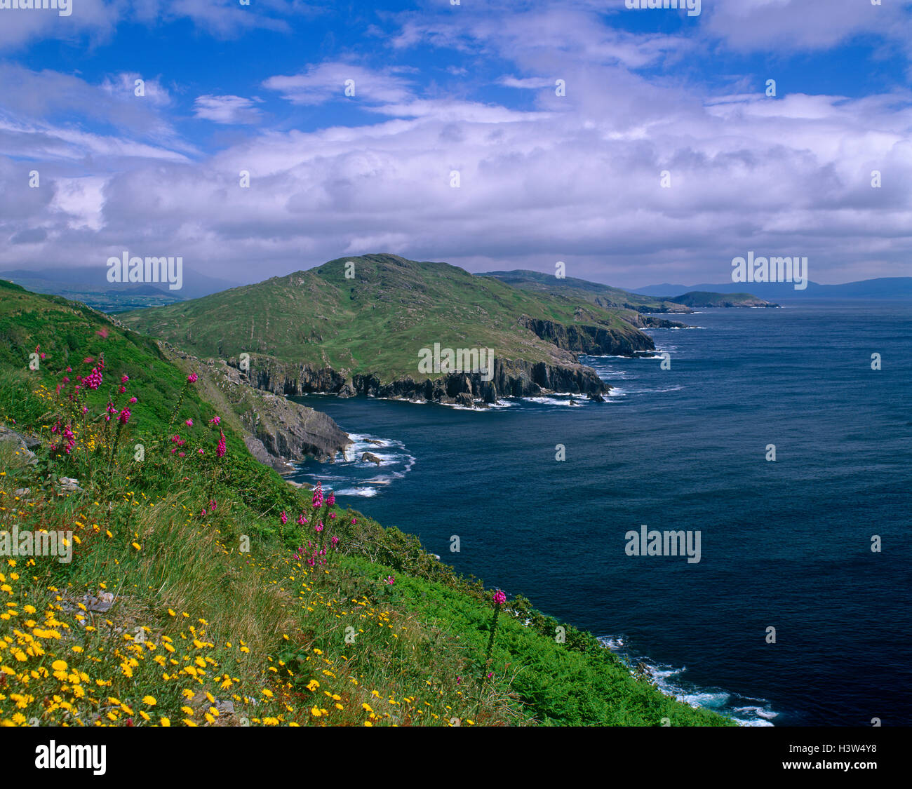 Bantry Bay, County Cork, Ireland Stock Photo Alamy