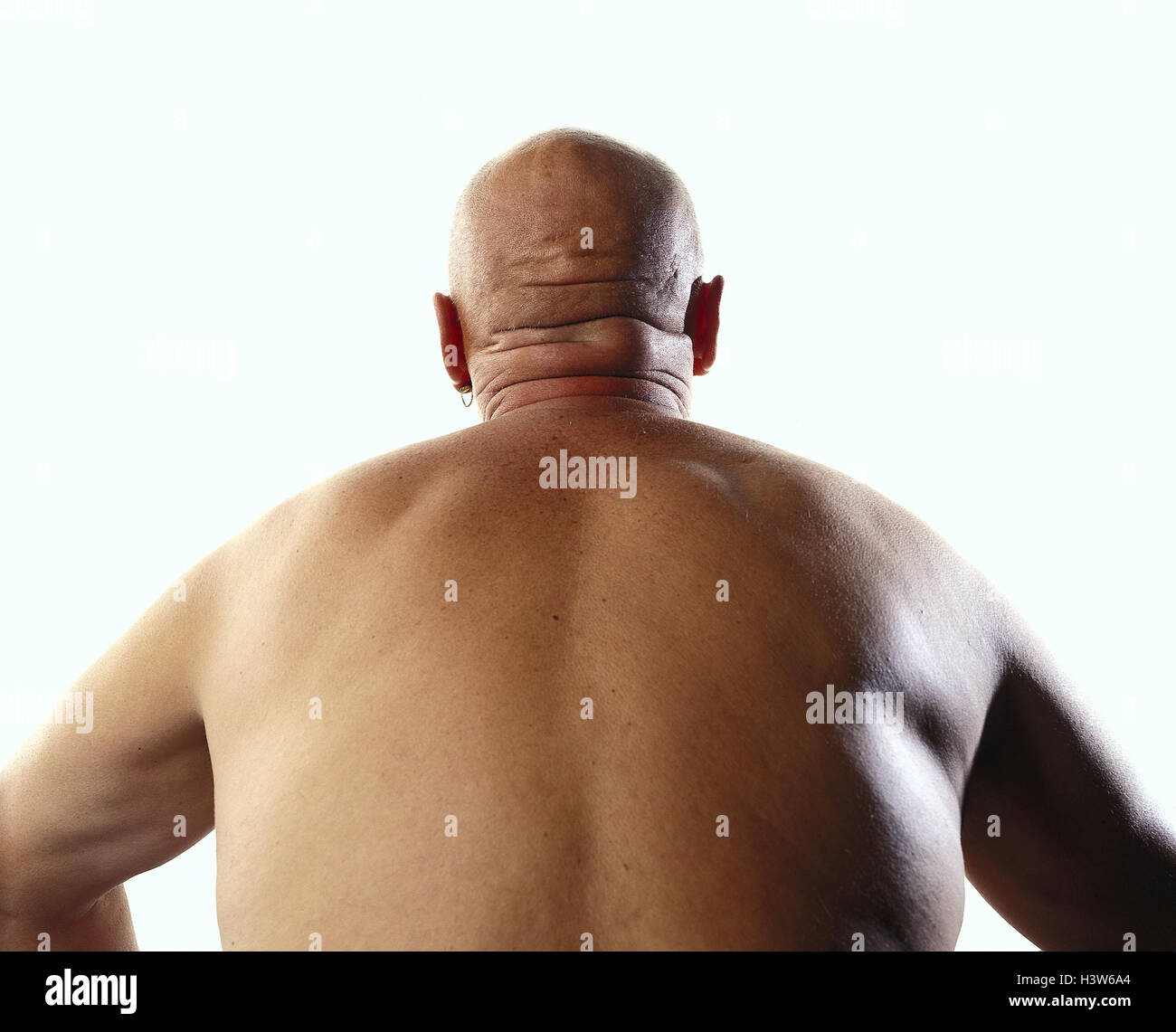 Man, thickly, bald head, free upper part of the Body, back view inside,  outside, studio, cut out, fatly, overweight, fat, bold Stock Photo - Alamy