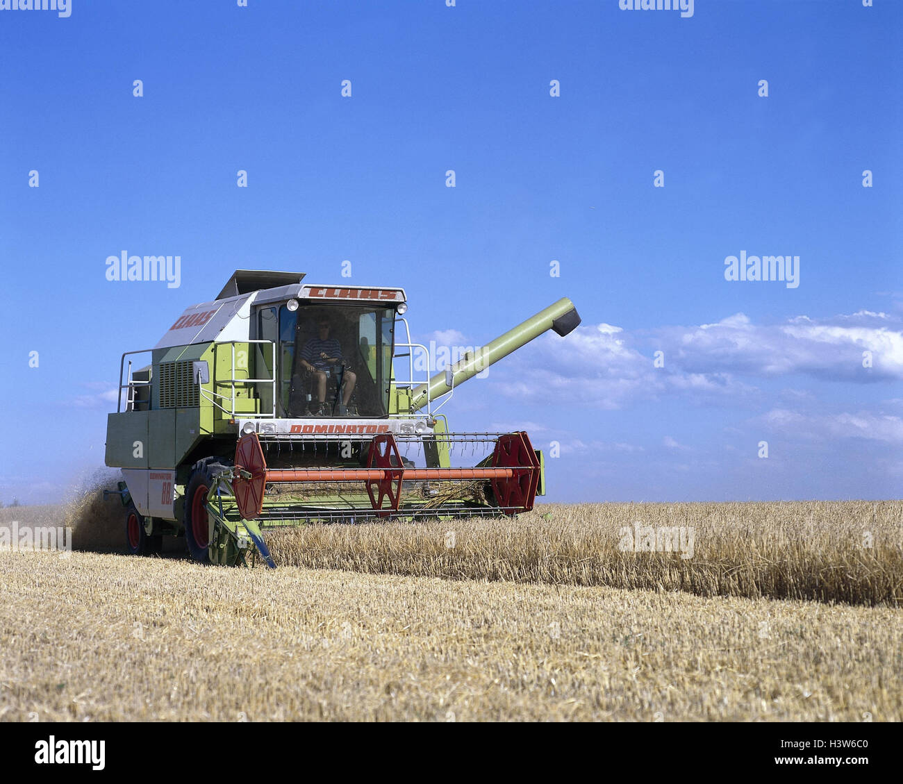 Combine harvester, wheat harvest agriculture, wheat field, wheat cultivation, cultivation, wheat, grain, harvest, wheat harvest Stock Photo