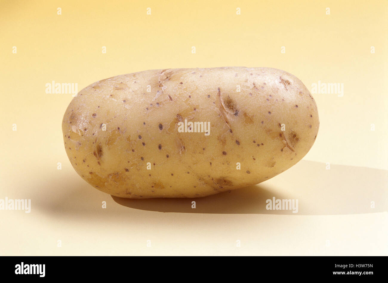 Potato, Solanum tuberosum, potatoe nodule fruit, carbohydrates, ground food, solanum, nodule, root nodule, potatoes, studio, product photography, only Stock Photo