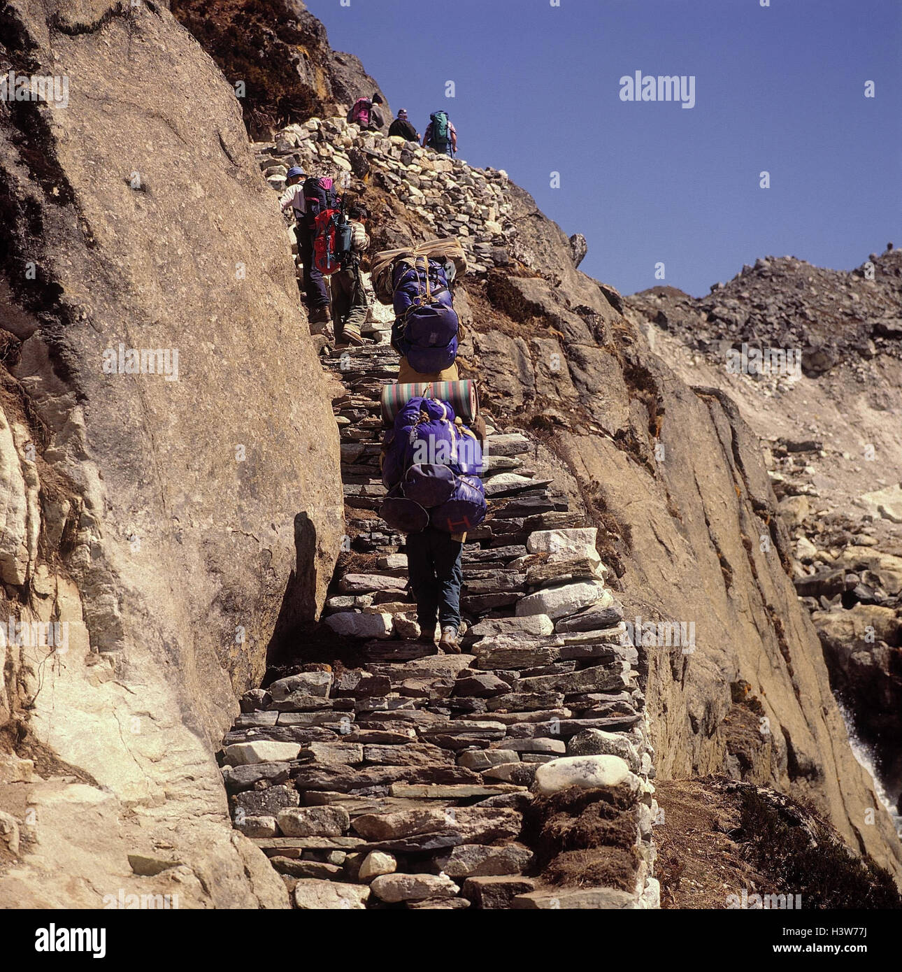 Nepal, Khumbu Himal, trekking group, climbing out to Gokyo, mountain hike, mountain wanderer, hiking, trekking, trekking group, tractor, Stock Photo