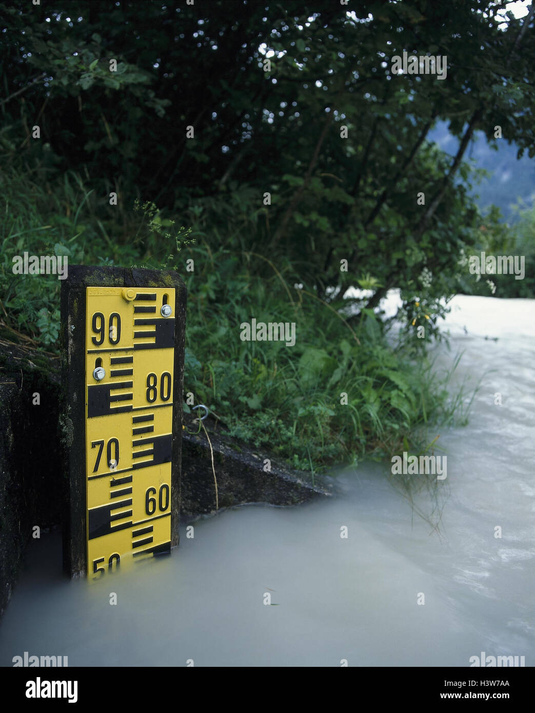 Measuring scale, water level, scale, metrology, level, water, water