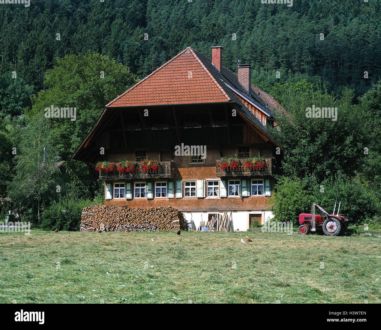 Germany, Black Forest, Gutachtal, farmhouse, BadenWurttemberg, Black