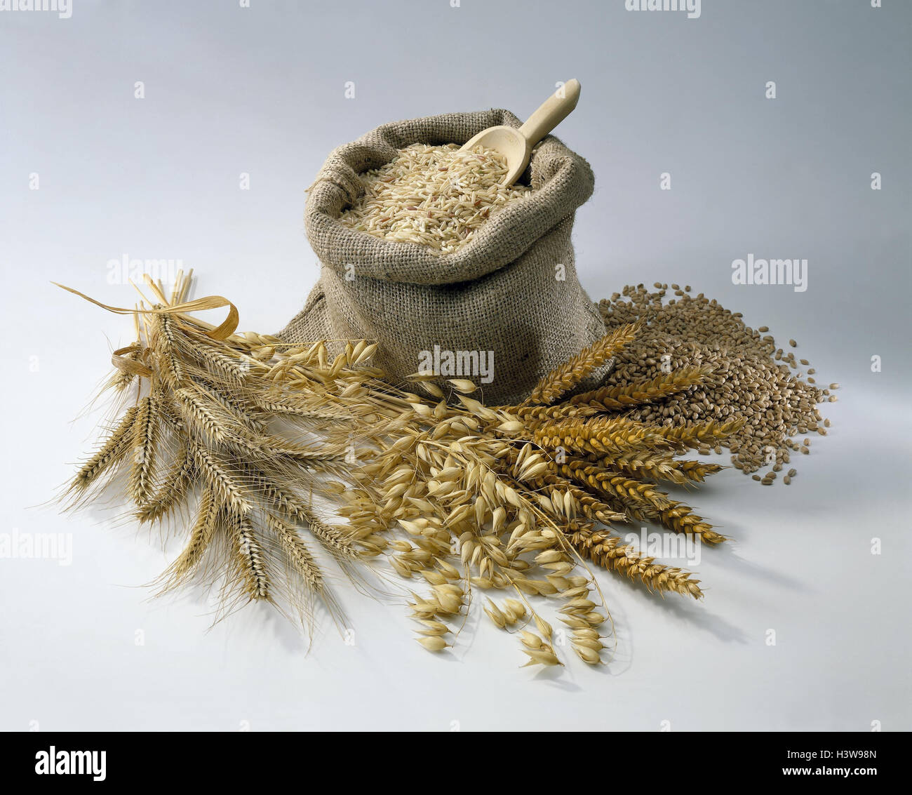 Grain, sorts, passed away, ears, jute pouch, travel cereals, grain sorts, grain ears, roughage, cultivated plants, Still life, product photography Stock Photo