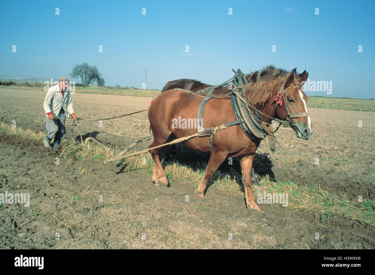 Farmer with plough hires stock photography and images Alamy