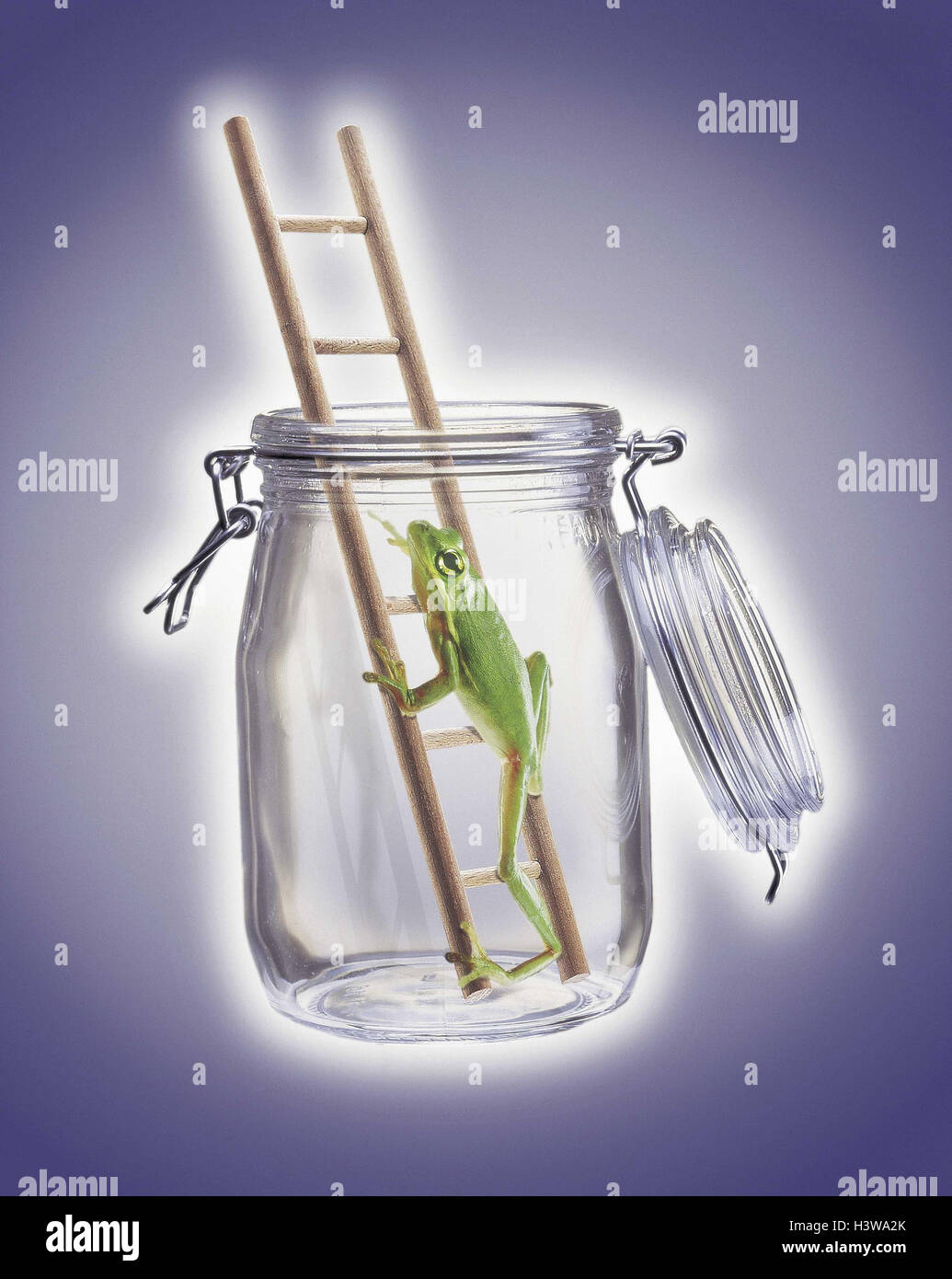 Weather frog, glass, conductor, preserving jar, frog, climb, weather