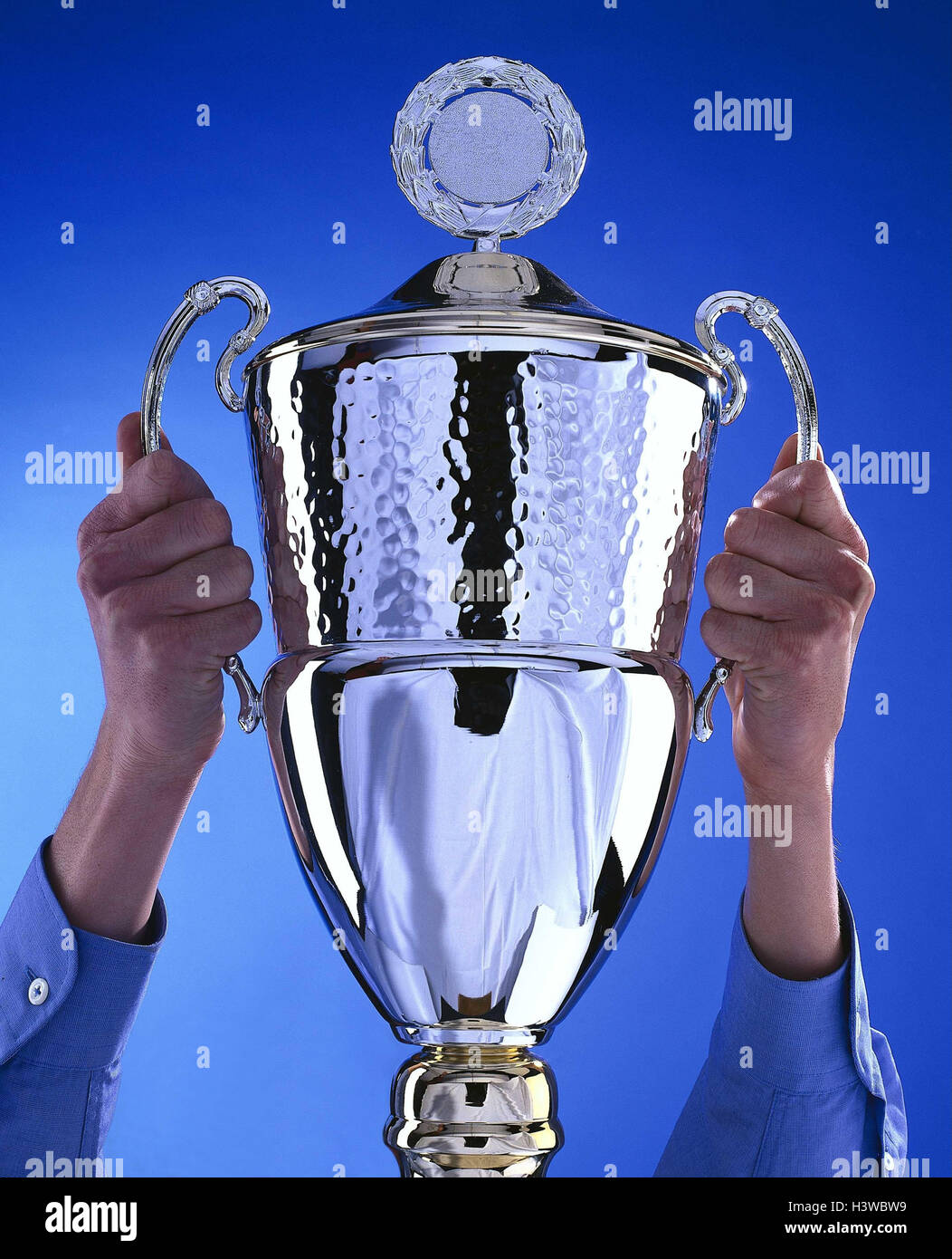 Man, detail, hands, winner's cup, hold, winner, cup, triumph, cup, price, victory, trophy, winner Stock Photo