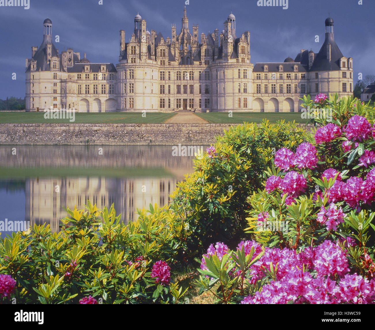 France, Loire valley, Chambord, lock, rhododendron, blossoms [M], Europe, Western, Europe, Loire lock, river, waters, structure, architecture, 16. Jh, UNESCO-world cultural heritage, architecture, place of interest, park, summer, outside Stock Photo