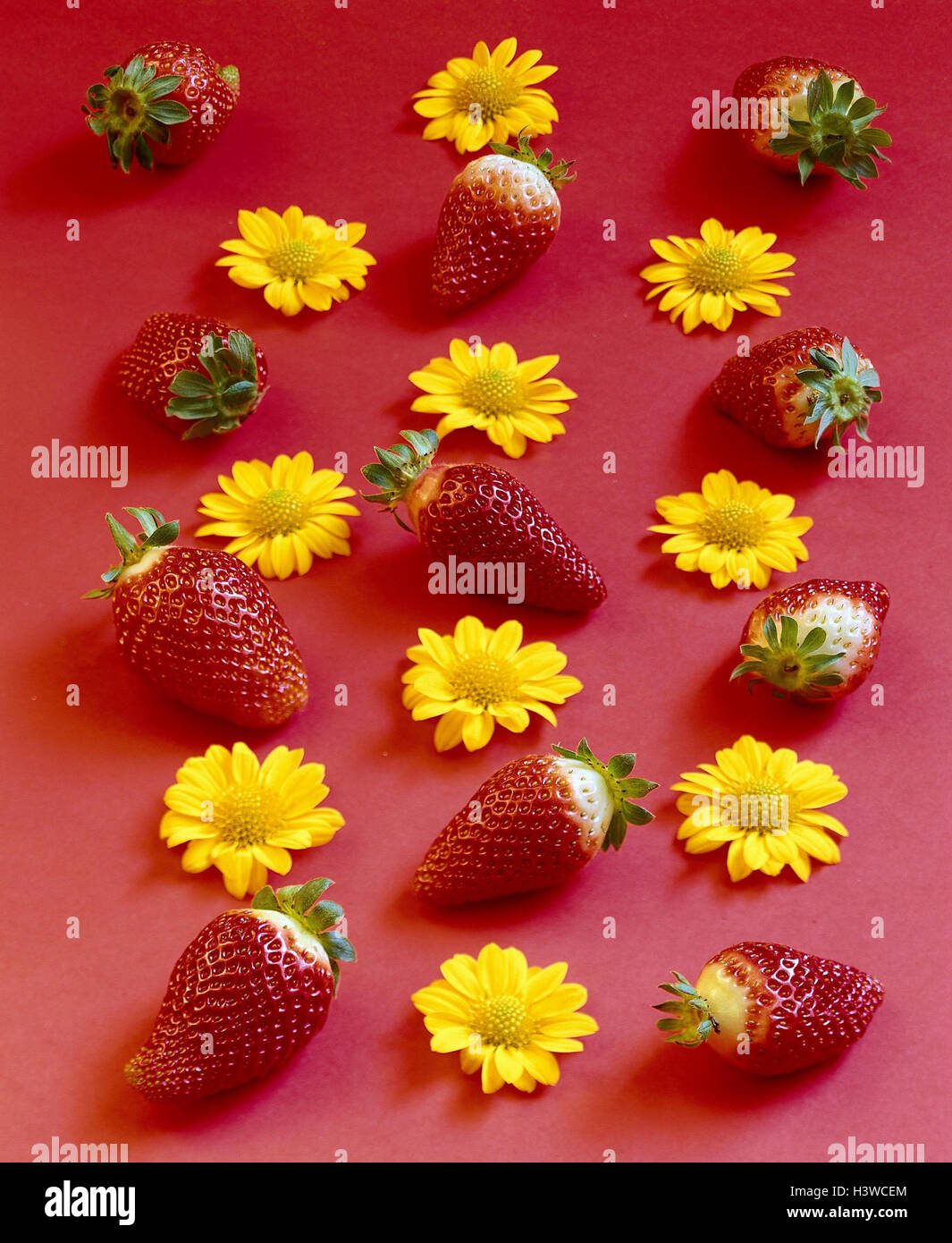 Blossoms, yellow, strawberries, flowers, Fragaria, fruits, fruit, red