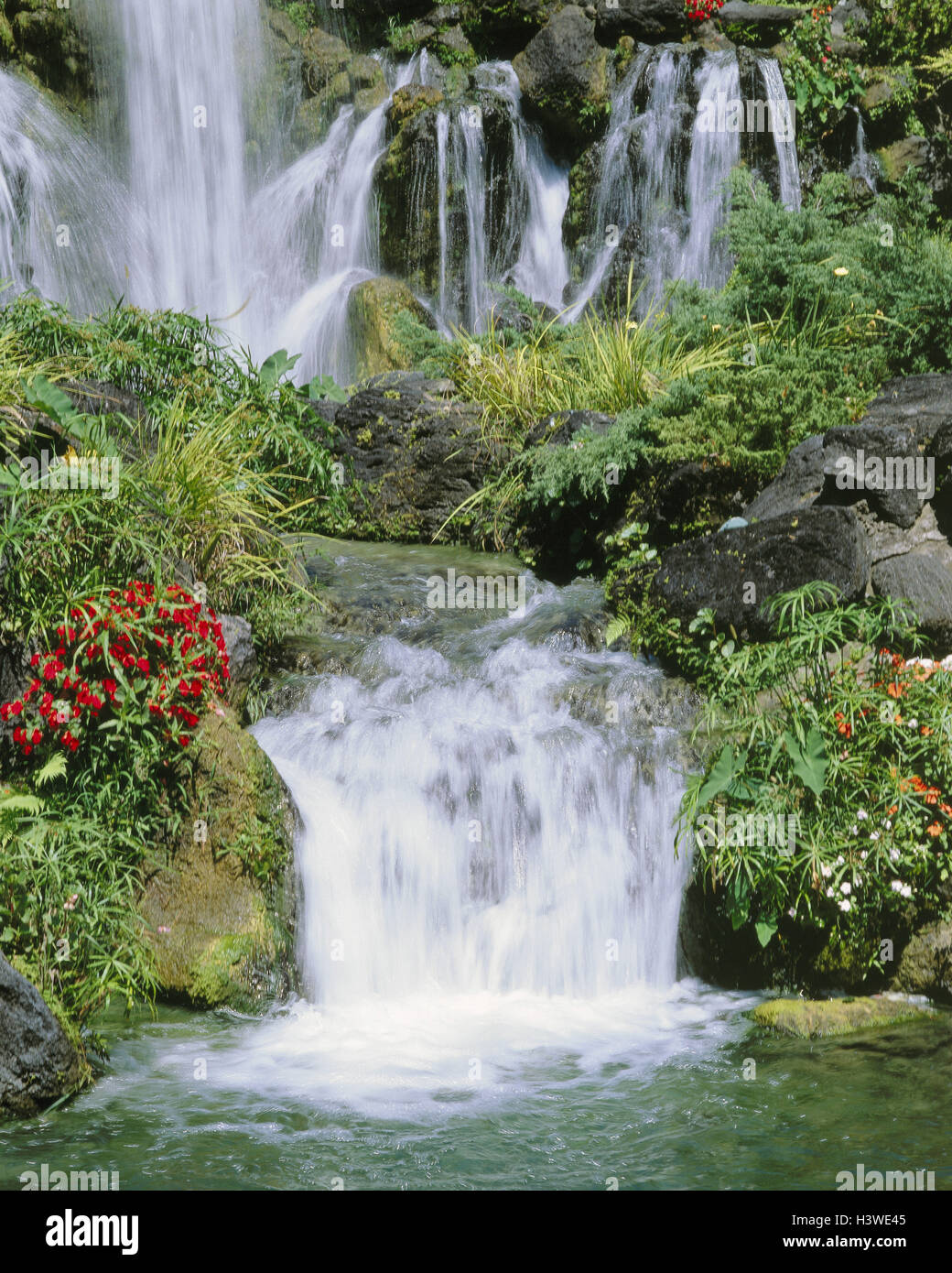 Jamaica, waterfall, island, the Greater Antilles, nature, vegetation, excessively, freshness, cleanness, water, waters, fluently Stock Photo
