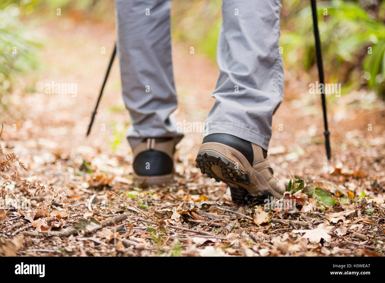 Hiker trekking pole walking hi-res stock photography and images - Alamy