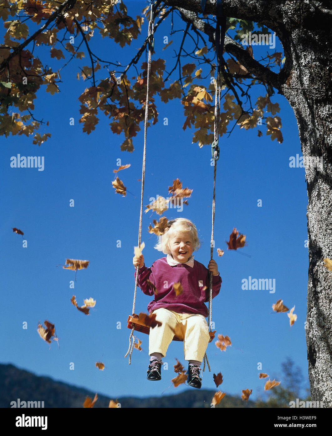 Girls, swing, autumn foliage infant, child, happy, laugh, childhood, swing, tree, broad-leaved tree, autumn leaves, leaves, foliage, autumn, outside Stock Photo
