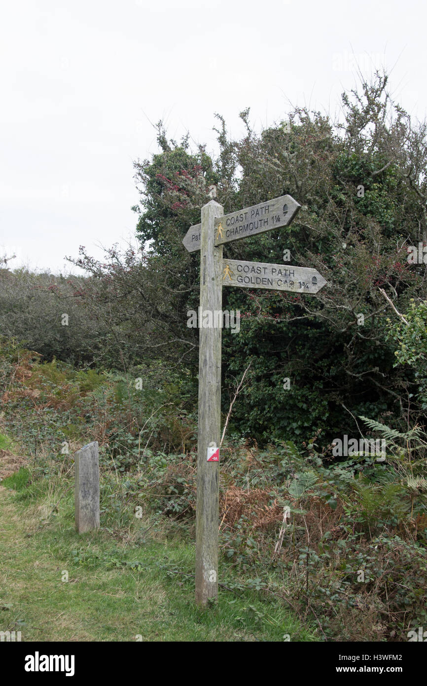 Sign Post On Path Signpost on the South West Coast Path Stock Photo - Alamy