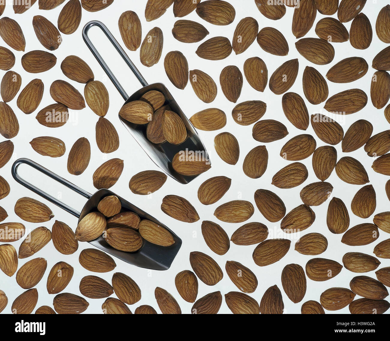 Almonds, Still life, rose plants, stone fruits, Prunus dulcis, stone