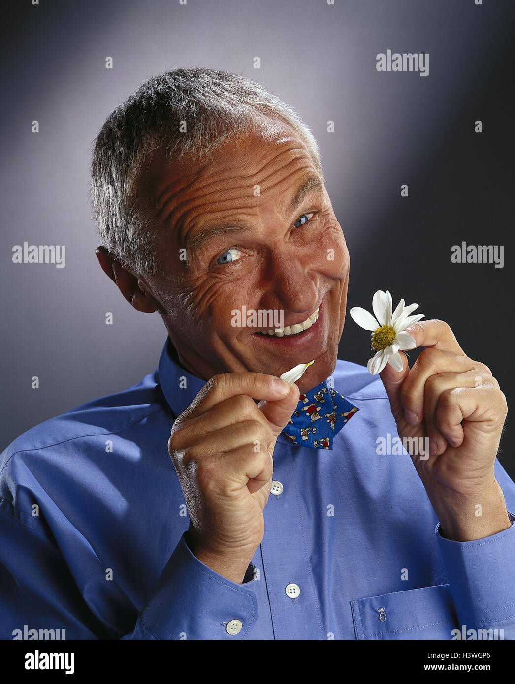 She Loves Me She Loves Me Not High Resolution Stock Photography And Images Alamy She Loves Me She Loves Me Not High Resolution Stock Photography And Images Alamy