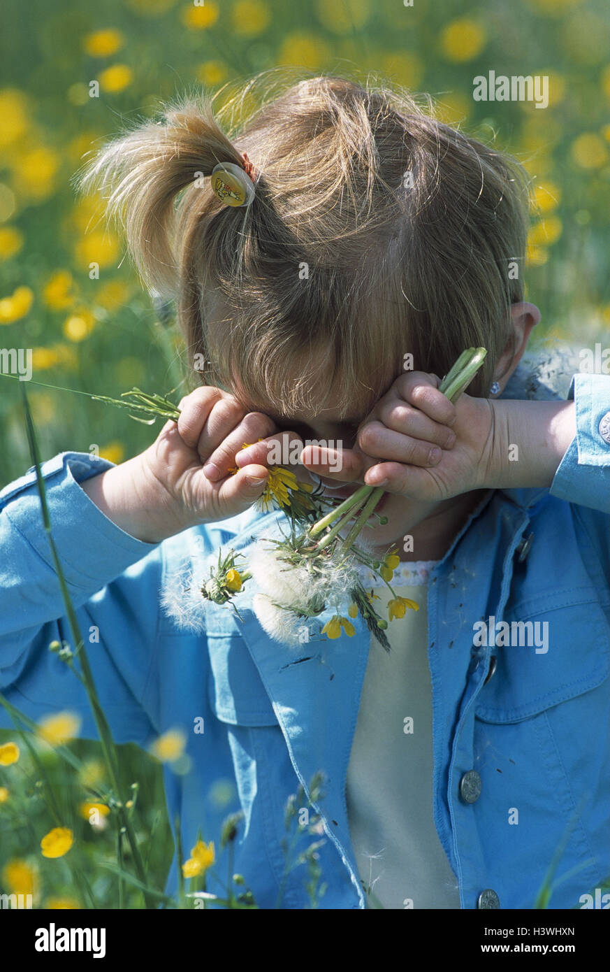 Pollinosises hi-res stock photography and images - Alamy