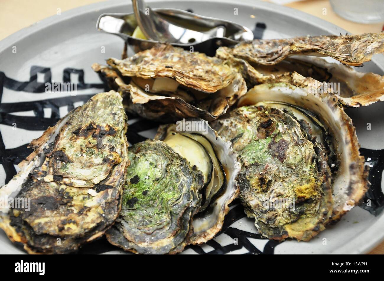 Burning Oyster Japan Stock Photo Alamy
