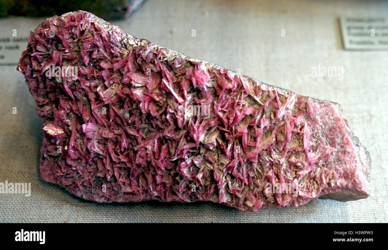Interlacing pink crystals with colourless cahnite. Dated 21st Century Stock Photo