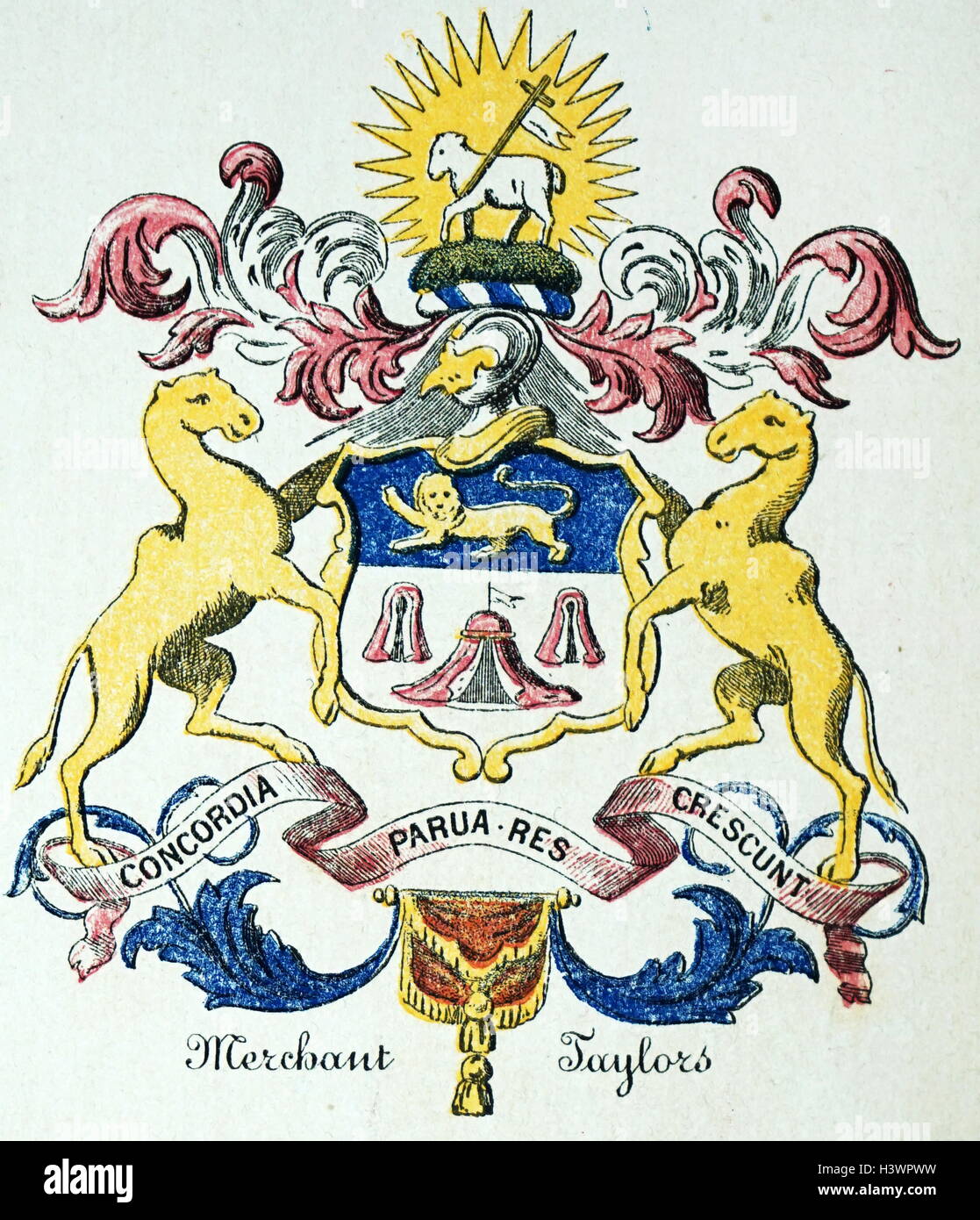 Coat of arms of the Merchant Taylors' Company. Dated 16th Century Stock