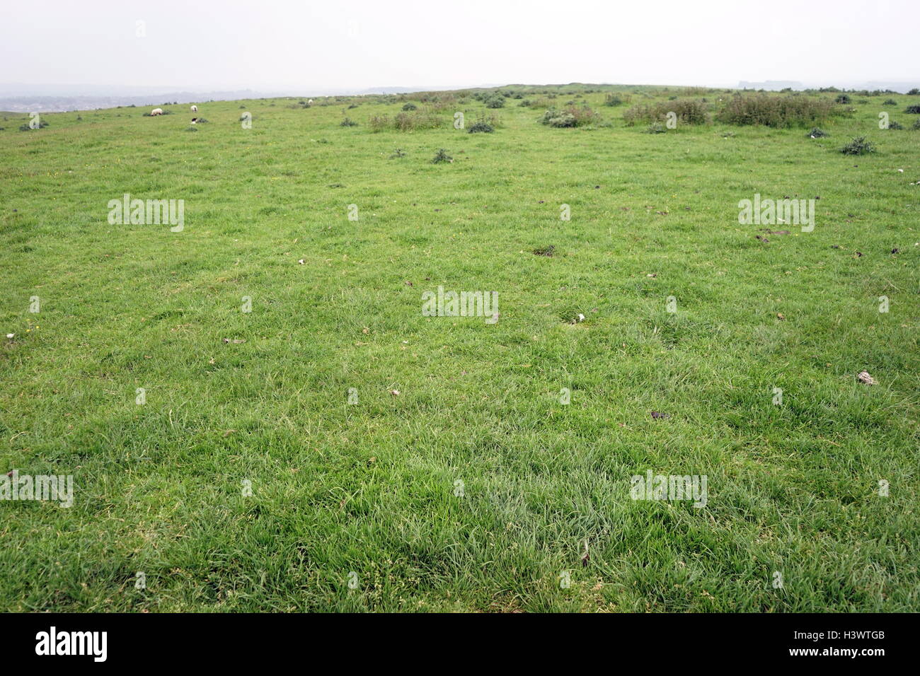 View of Maiden Castle, an Iron Age hill fort, a type of earthworks used as a fortified refuge which would exploit elevations. Dated 21st Century Stock Photo