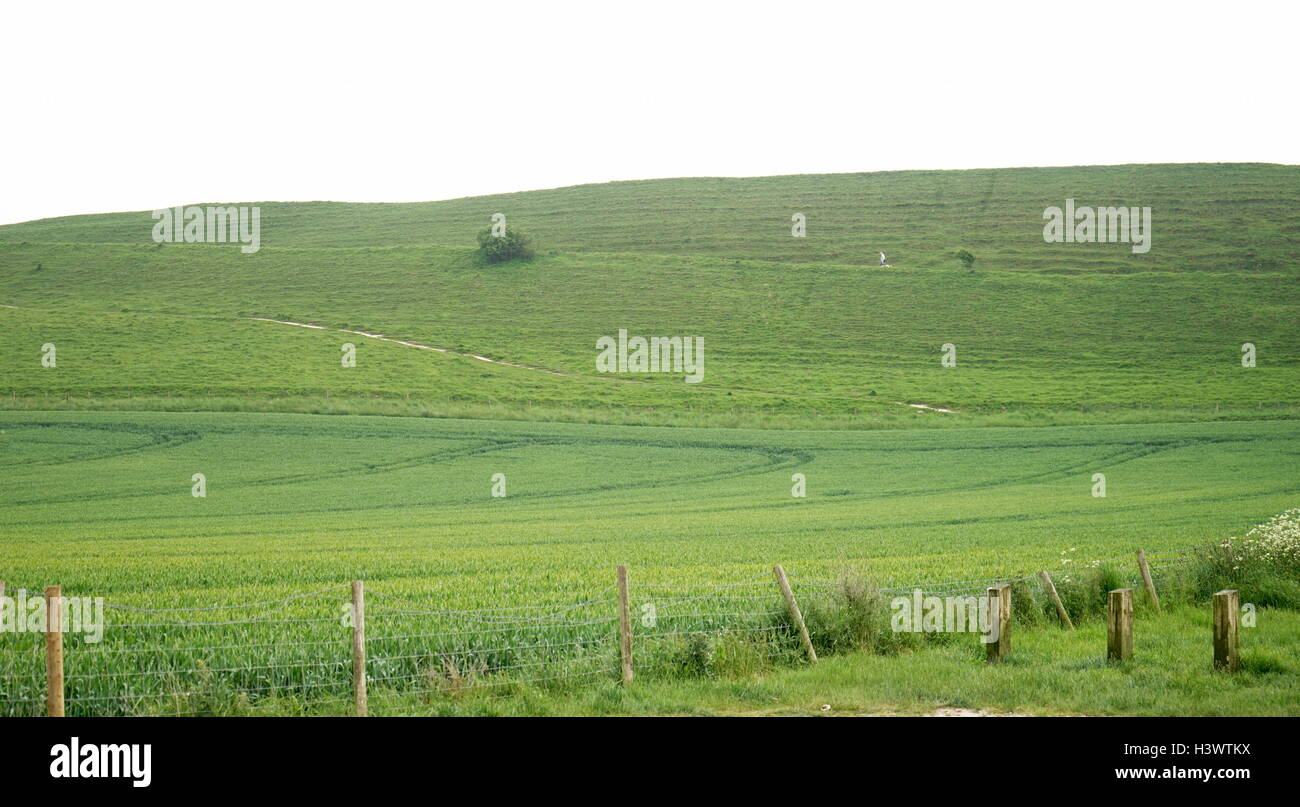 View of Maiden Castle, an Iron Age hill fort, a type of earthworks used as a fortified refuge which would exploit elevations. Dated 21st Century Stock Photo