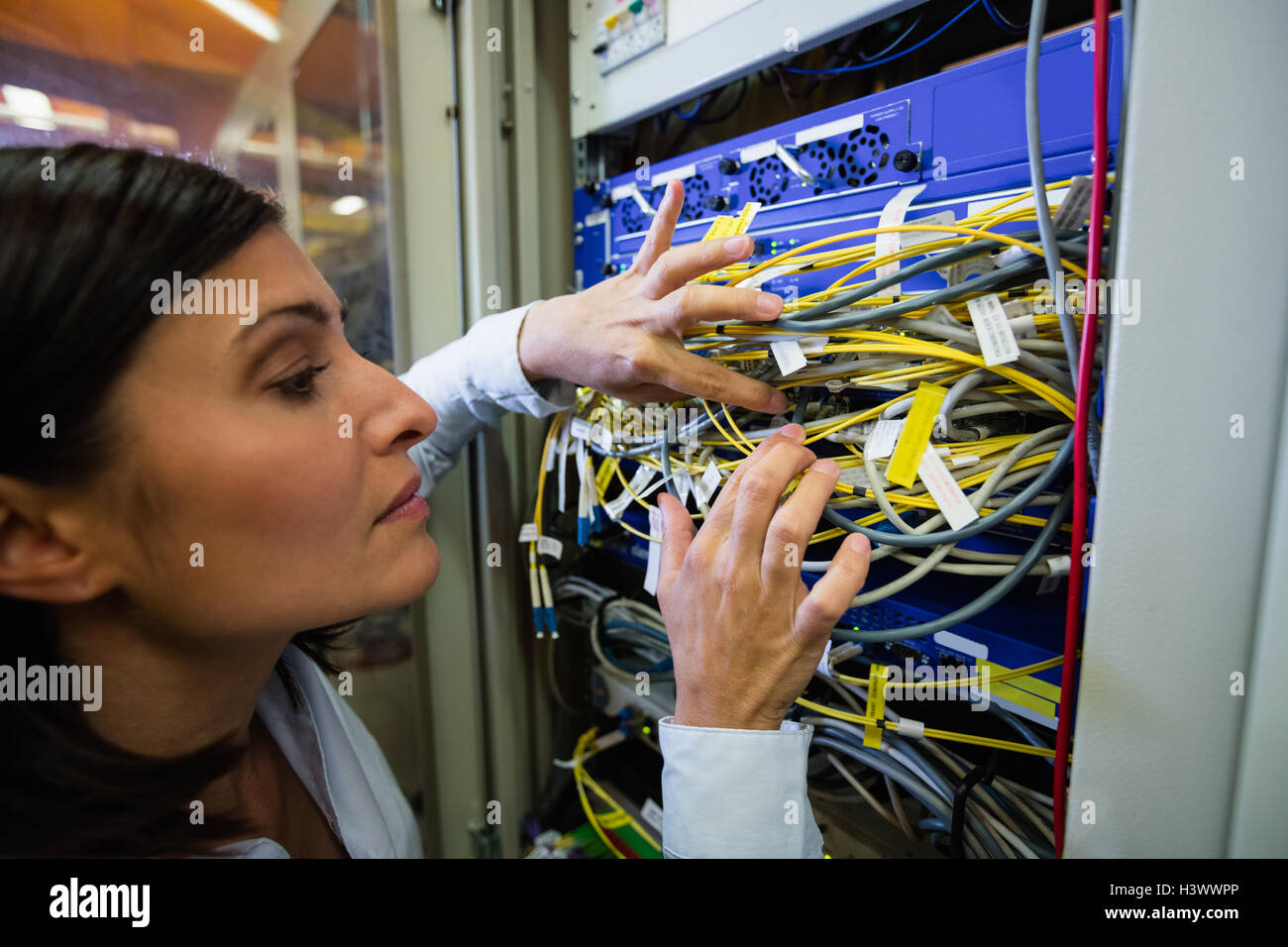 Technician checking cables in a rack mounted server Stock Photo Alamy