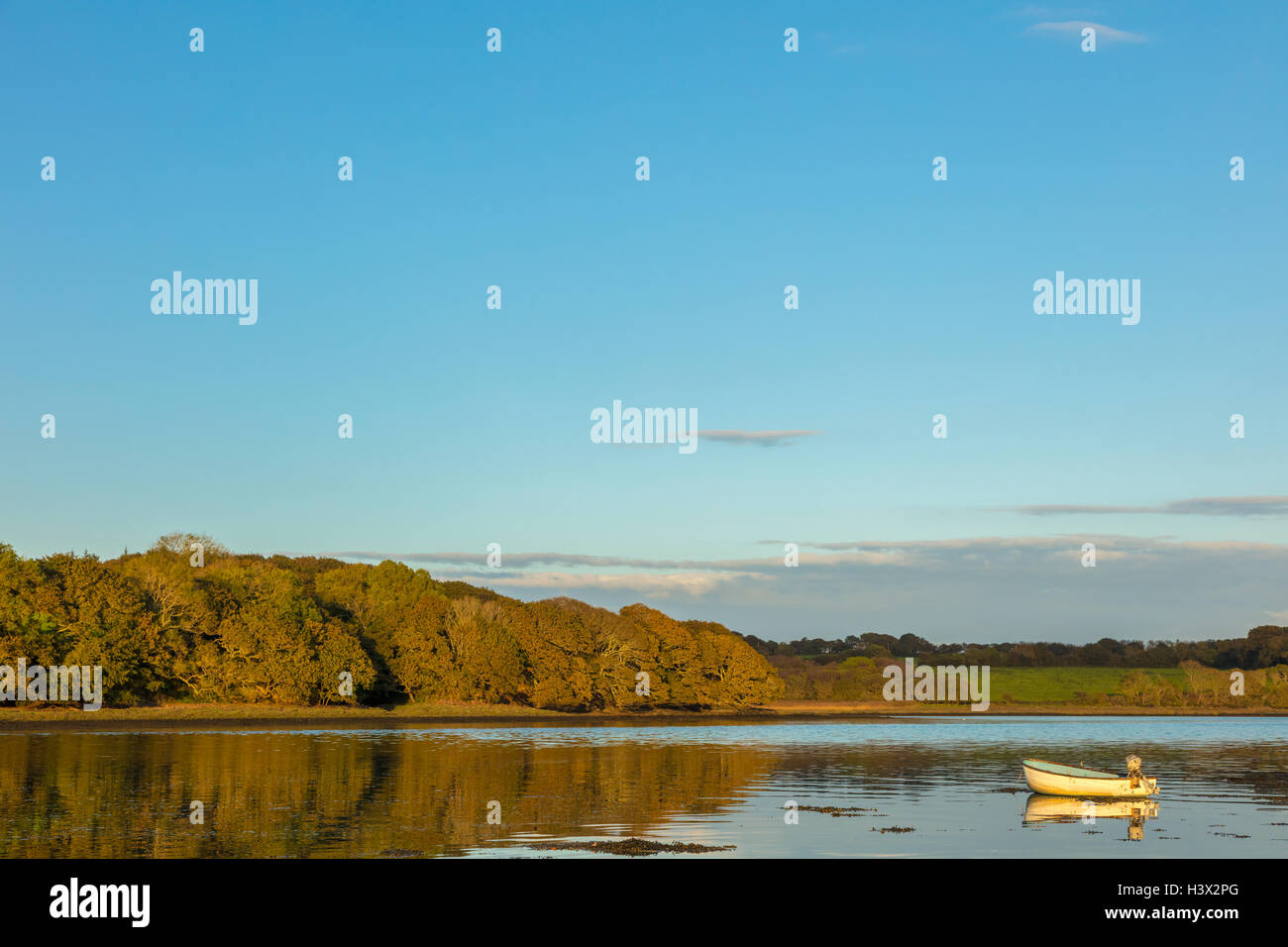 Cleddau estuary hires stock photography and images Alamy