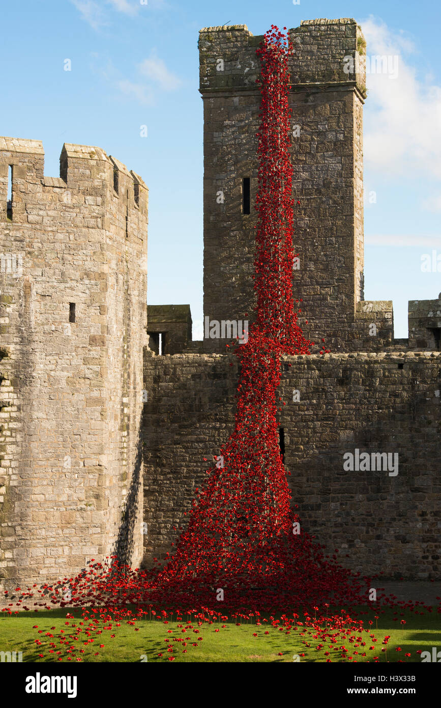 Caernarfon, Wales, UK. 11th October, 2016. A sculpture consisting of thousands of ceramic red poppies marking the 100th anniversary of World War One has gone on show at Caernarfon castle in Wales. Credit:  Chris Lynn/Alamy Live News Stock Photo