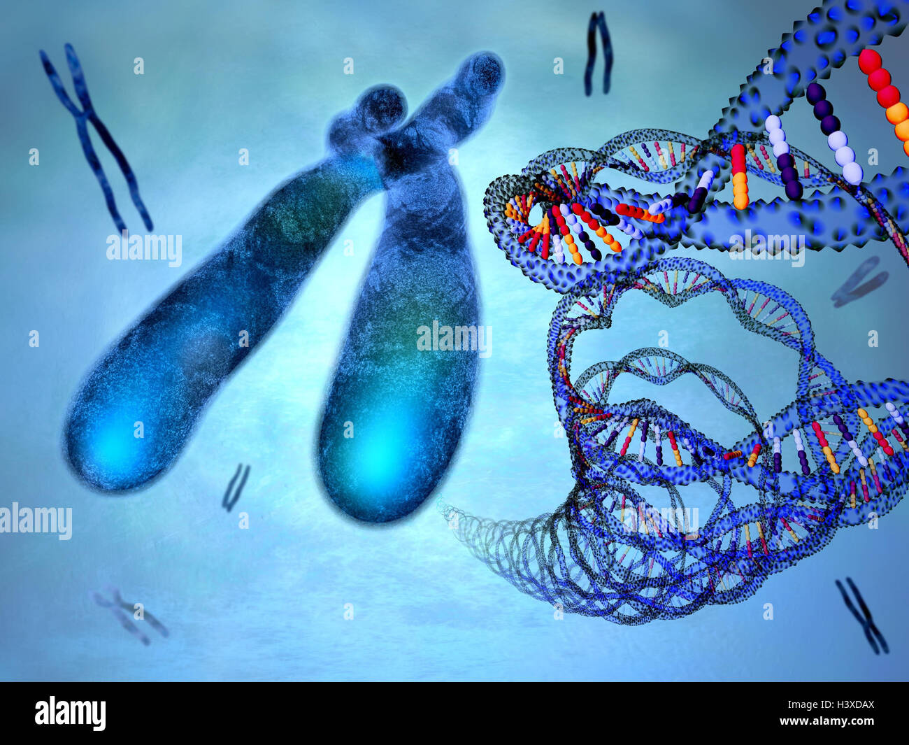 DNA, X-Cromosomen, Composing, Desoxyribonucleinsäure, DNA, X-Cromosom ...