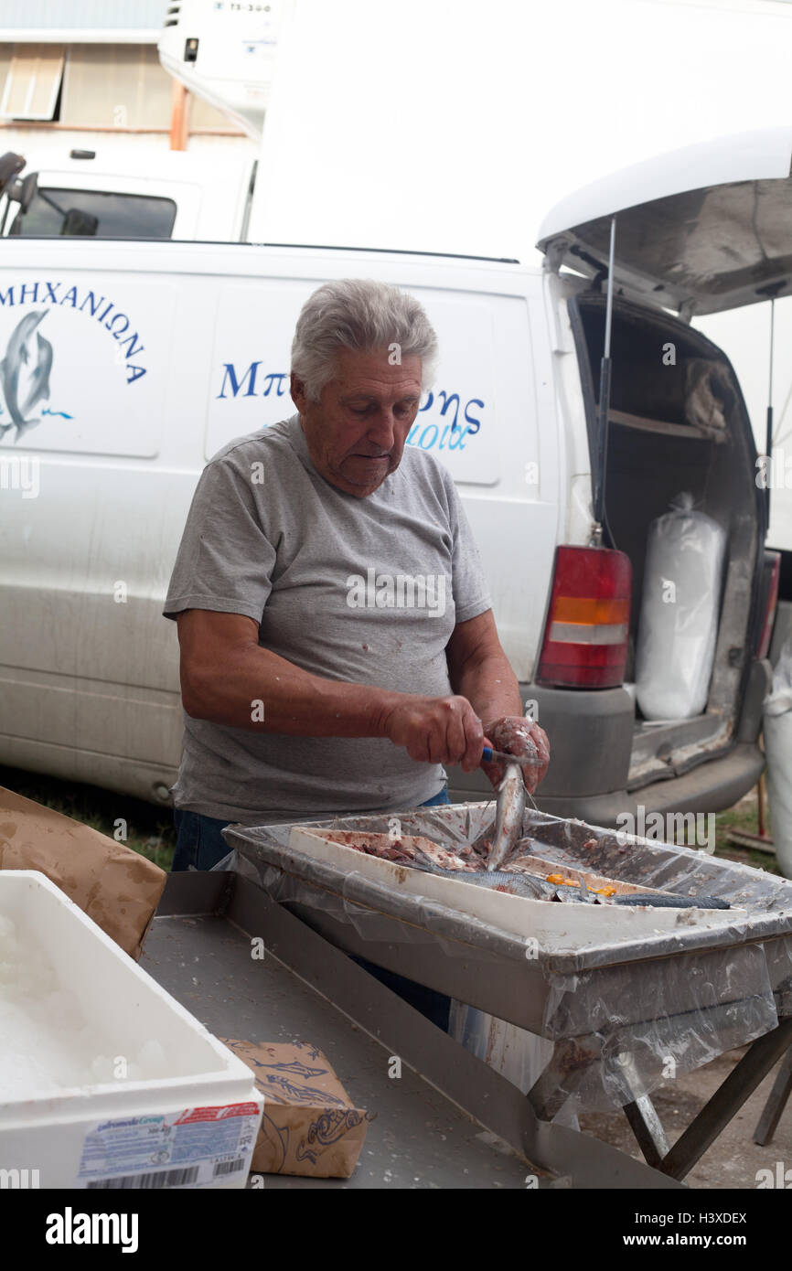 Man gutting a fresh fish using a knife at the weekly market (Wednesdays) in Nea Moudania, Halkidiki, Macedonia, Greece Stock Photo